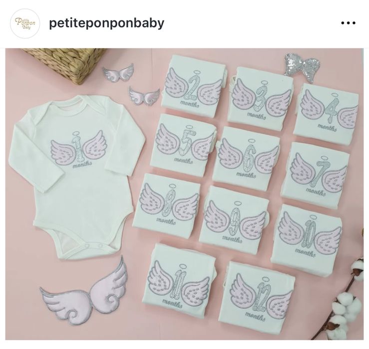 Набор бодиков по месяцам