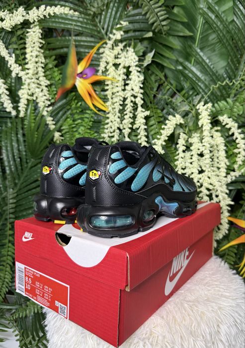 Nike Air Max Plus TN Black Blue