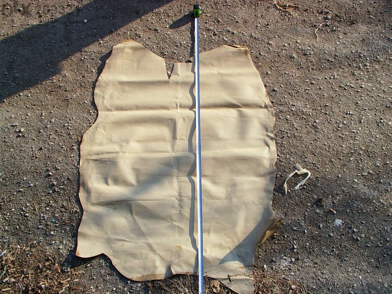 Кожа,свински изохастар