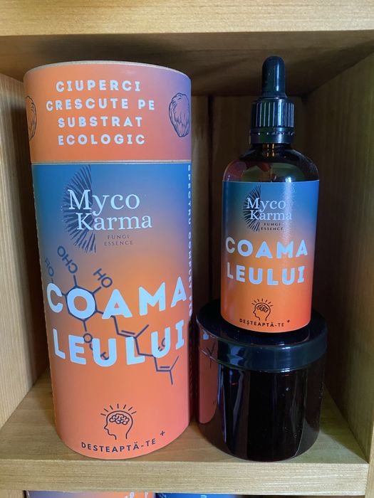 Concentrat din ciuperca Coama leului (Hericium erinaceus)