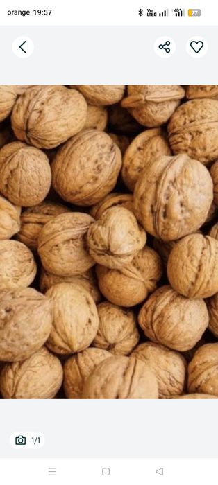 Vând nuci in coarja