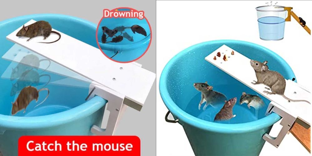 Cursa pentru prindere sobolani in mod continuu! Fara otrava, clei Nou!