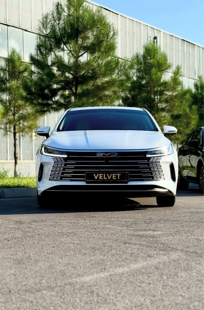 VELVET! Rent A Car! Прокат Авто