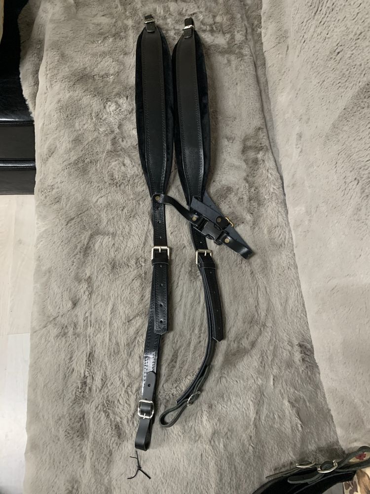 Curele Acordeon, weltmeister supita, hohner