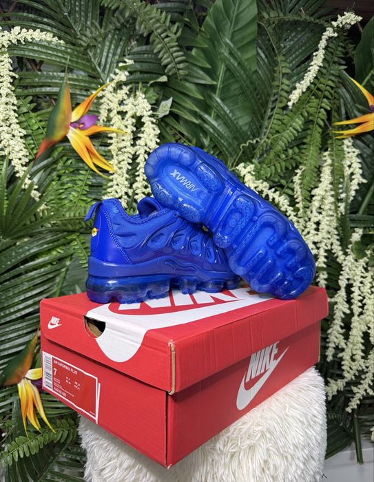 Nike Vapor Max Plus Blue