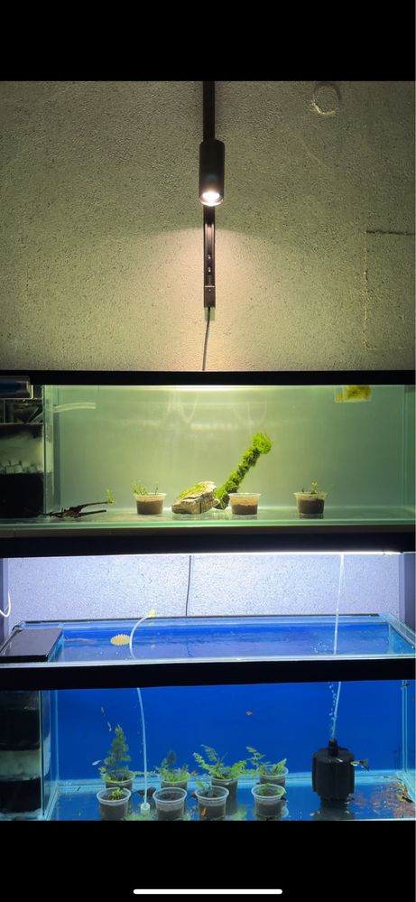 Akvarium yasash xizmati