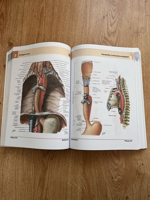 Atlas Anatomie editia 5
