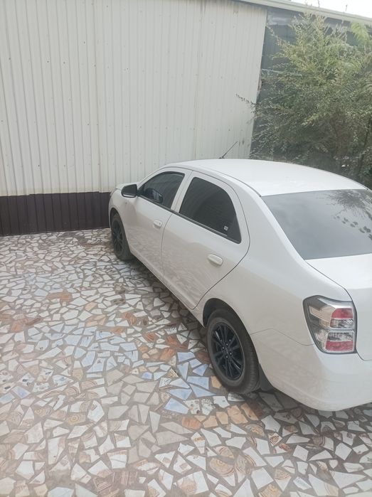 Коблт Миднайт сотилади