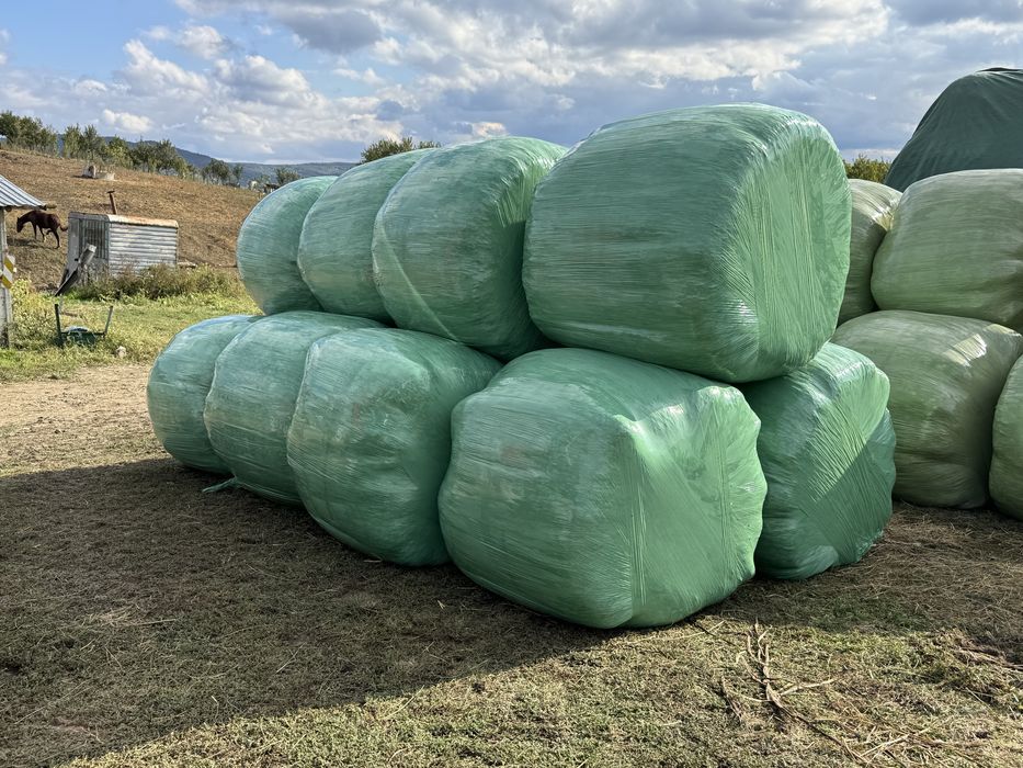 Baloti de lucerna infoliati