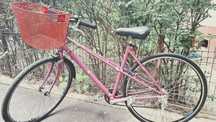 Bicicleta ultra usoara custom pt dama