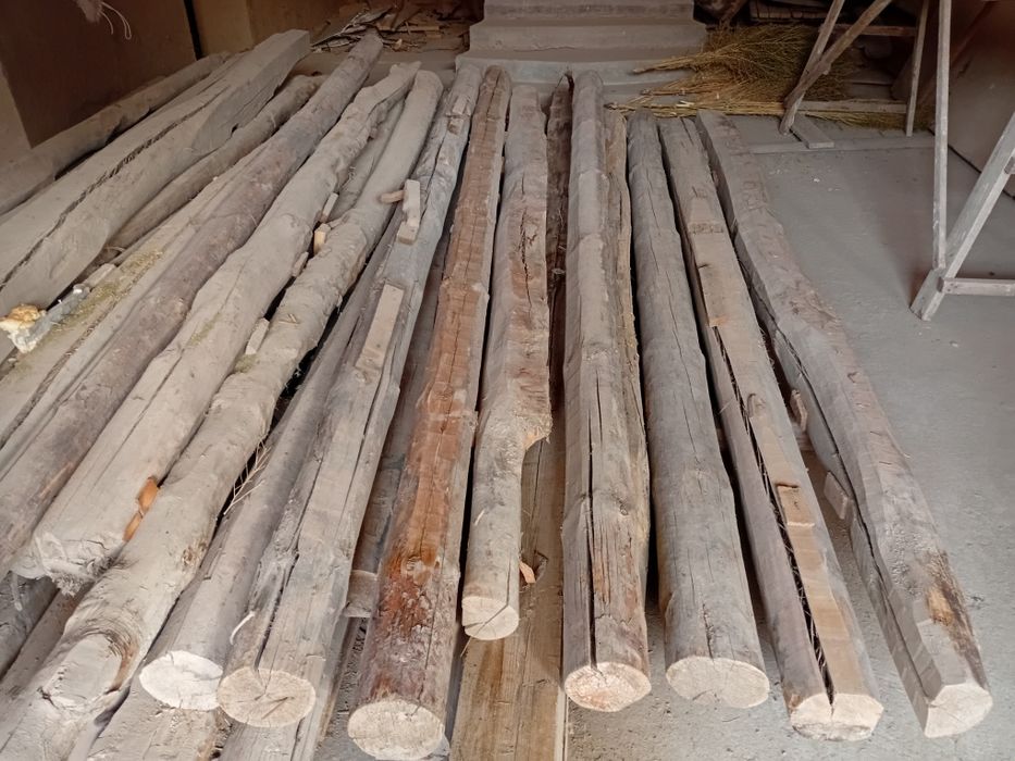 Bolol sotiladi uzunligi: 3metr narxi:donasi150000ming sum kelishtirib