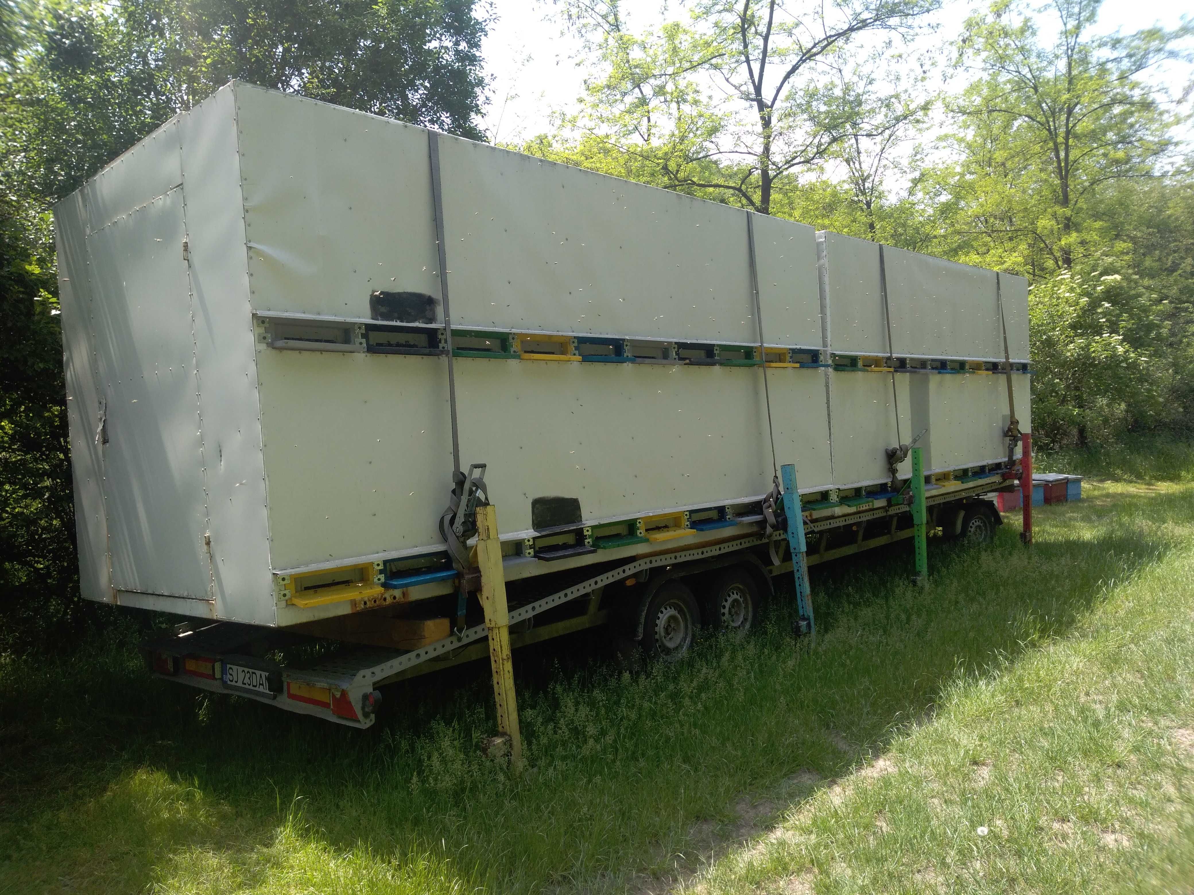 Container modular, modul apicol 40 stupi