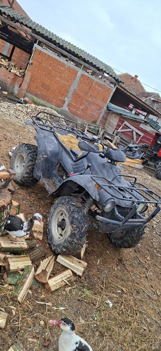 De vanzare linhai 300