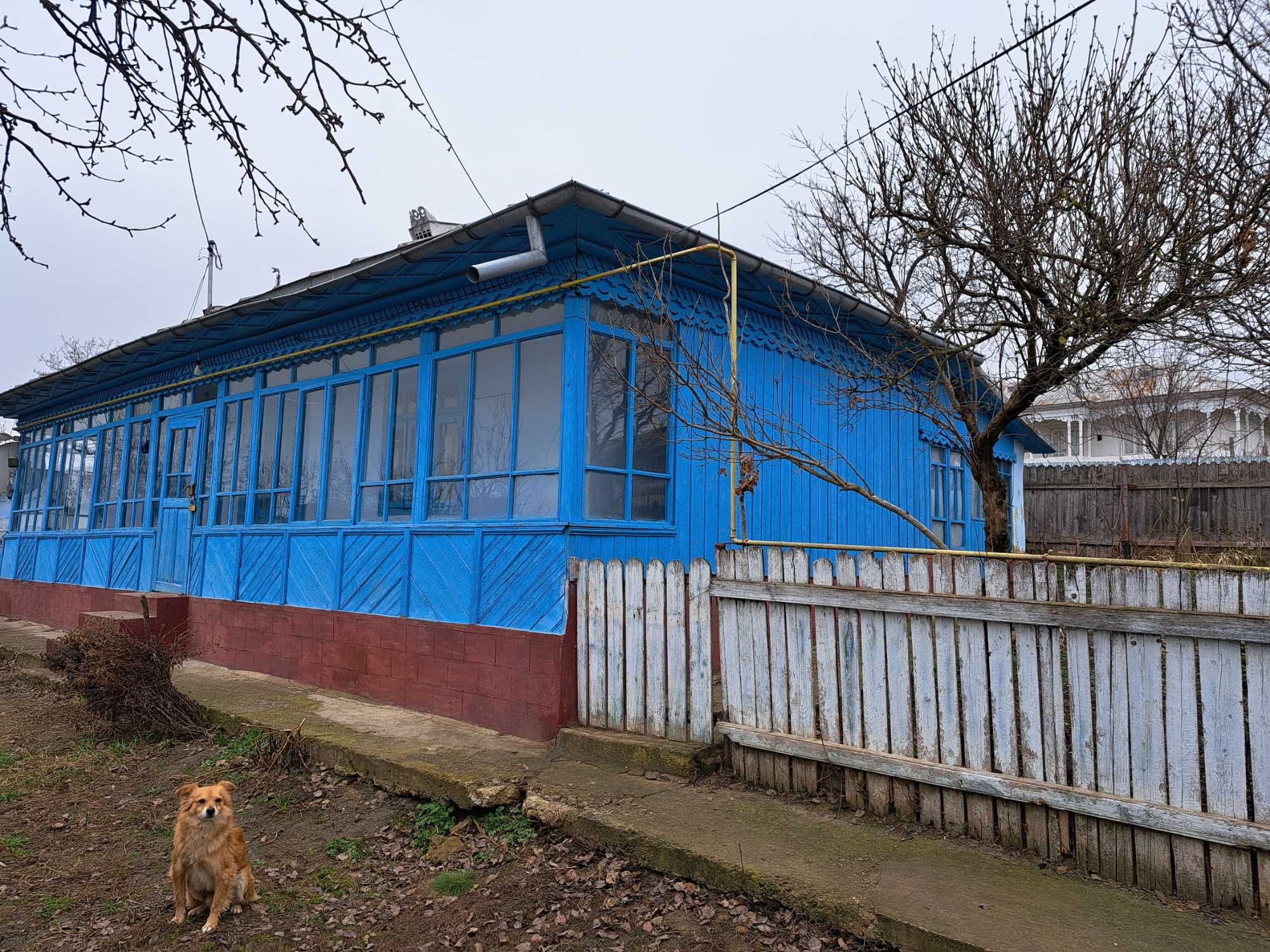 casa de vanzare sat vorovesti comuna miroslava