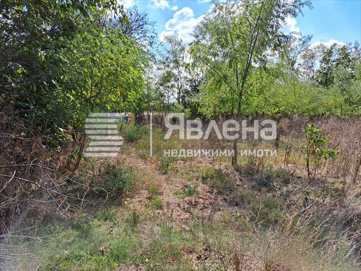 Продава се Къща в с. Ханово, Област Ямбол - 40 кв.м за 143 €/кв.м - Снимка #5