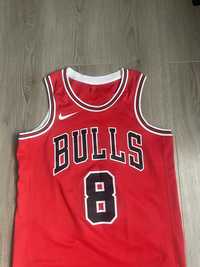 Jersey NBA / Chicago Bulls / Lavine 8