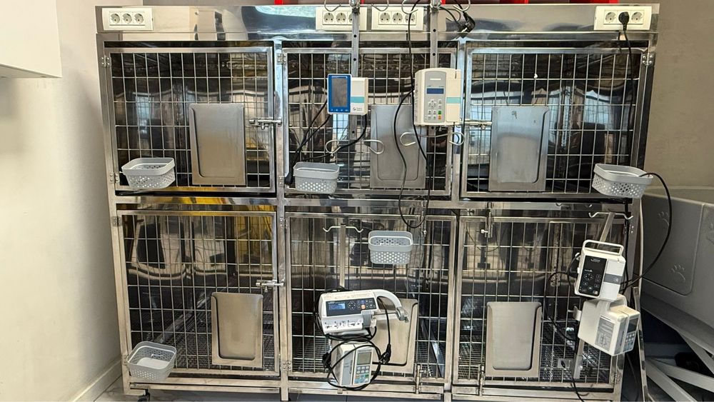 Baterie de cuști veterinare din inox