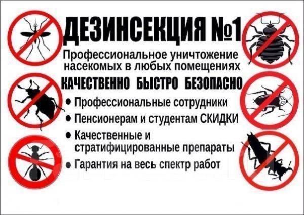 Дезинсекция дезинфекция дератизация удаление запаха озонирование
