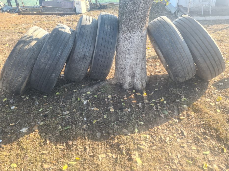 Vand cauciucuri camion  315 80 22.5   315 70 22.5