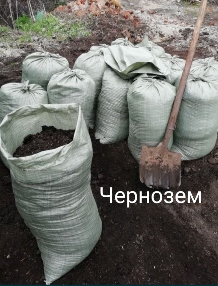 Чернозем перегной, двух летней выдержки. Чистый.