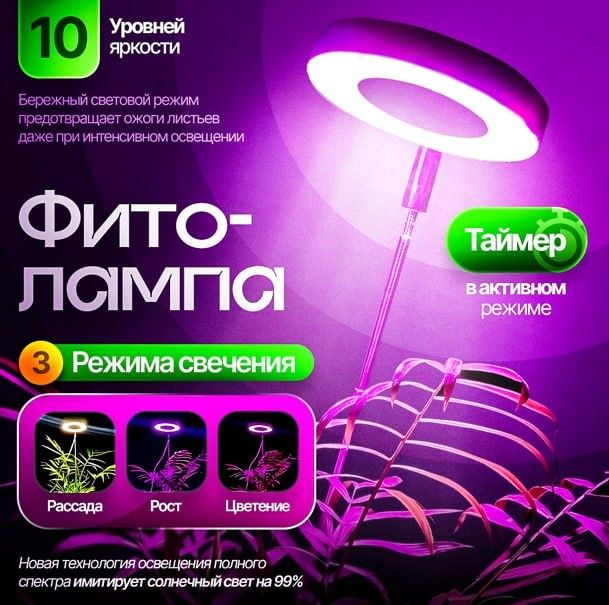 Dizayner man vizitka kartochka