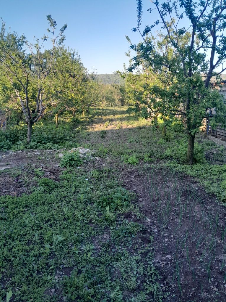 Casă de vânzare.