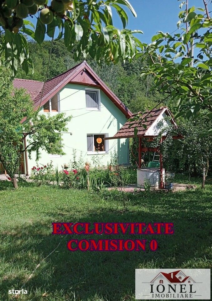 Casa de vacanta cu balta de peste in apropiere de Blaj
