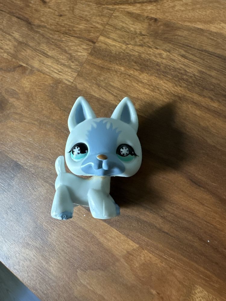 LPS Caine Husky Littlest Pet Shop