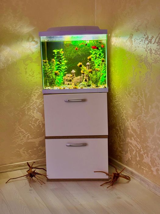 Аквариум 60 литра + шкафчето и рибките