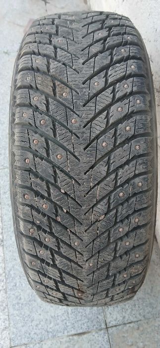 Зимные шипованные шины