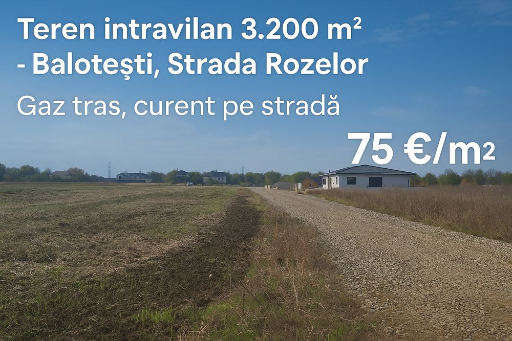 Teren 3.200 m² Balotești, Str. Rozelor – Gaz, Drum, Curent
