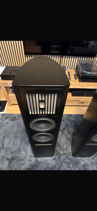 Piega Coax 90.2/Swizerland