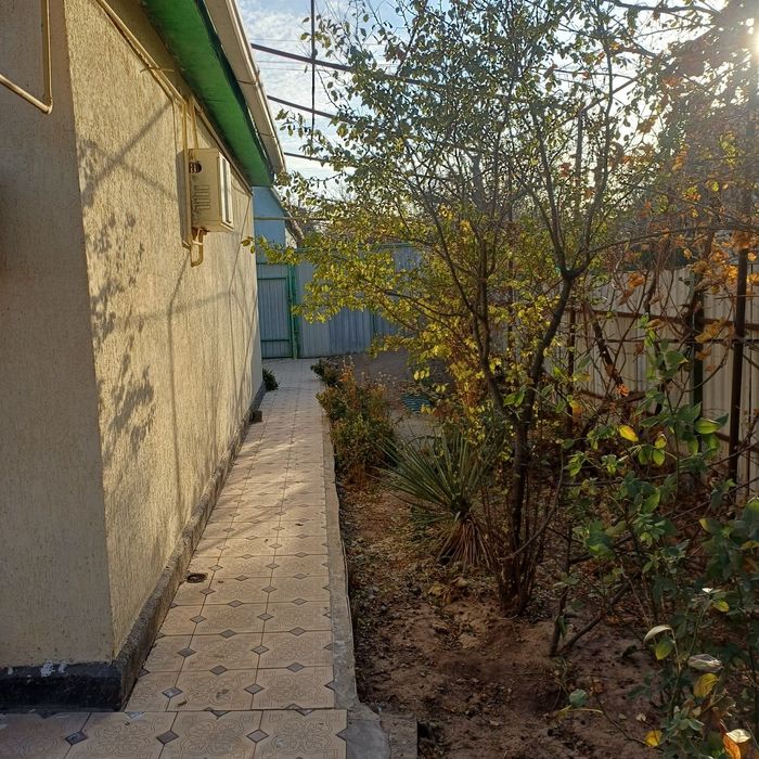 Дача майский поселок звездочка