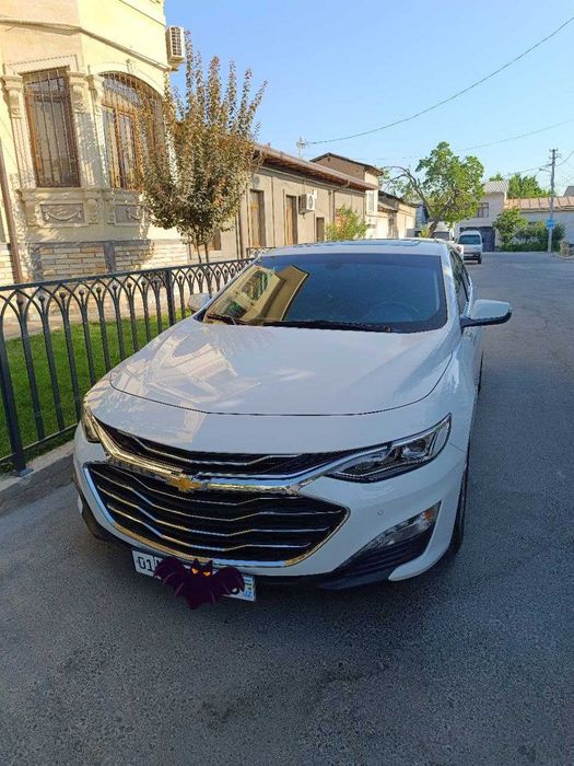 Malibu 2 Premier 2 турбина (2020–2021)