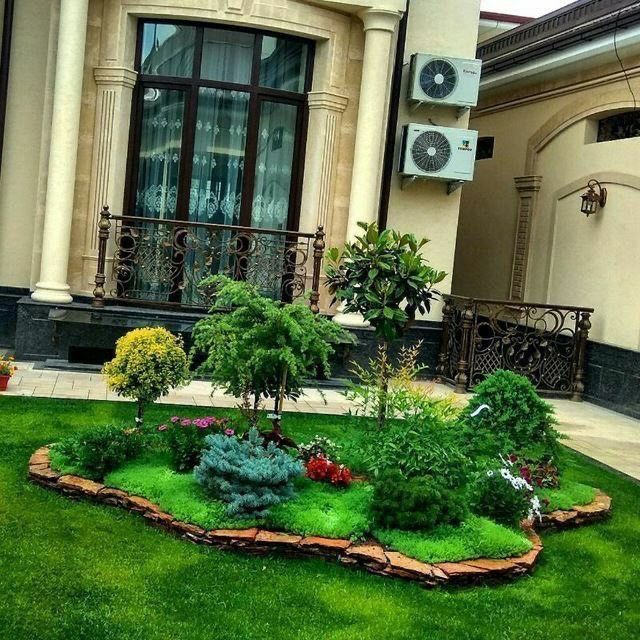 Gazon, Landshaft, Bog'bonchilik - Professional Xizmatlar | Toshkent