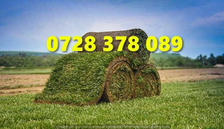 Gazon rulou - Gradina Verde vesnica Garantat ! Firma autorizata