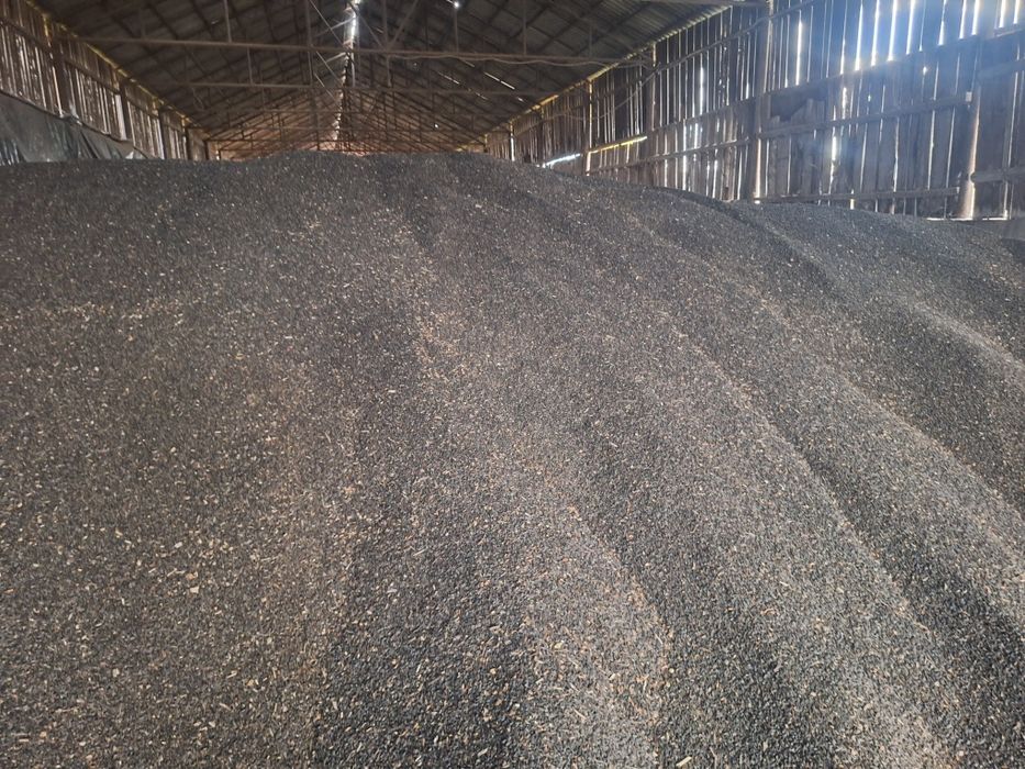 Vand 80 to floarea soarelui