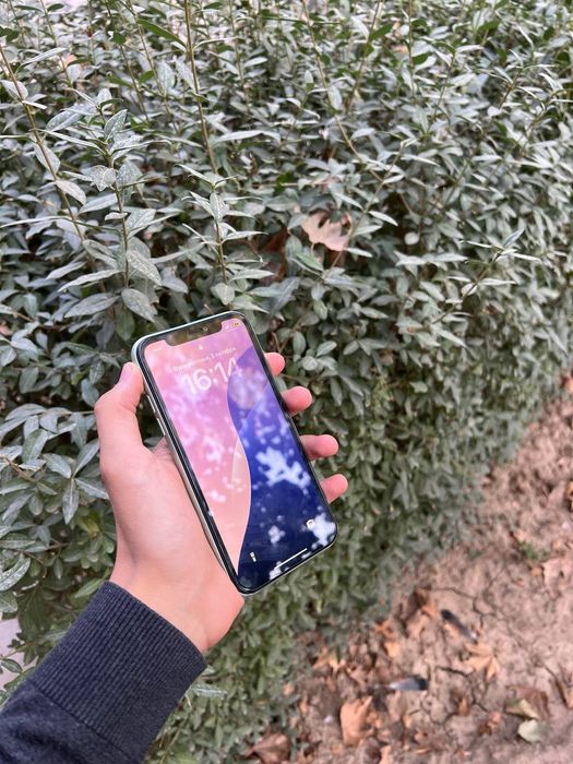 Iphone 11 ideal xolati