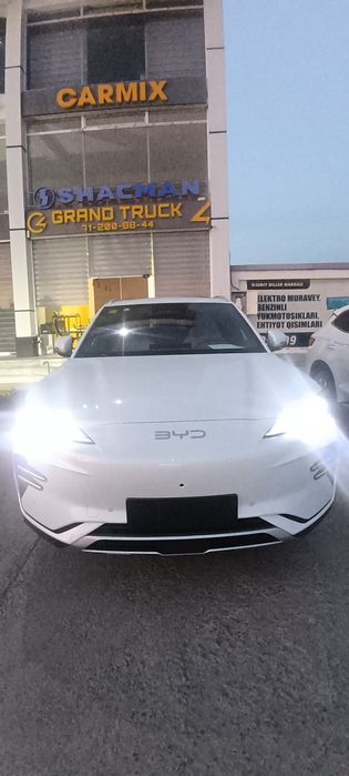 Byd song plus chempion