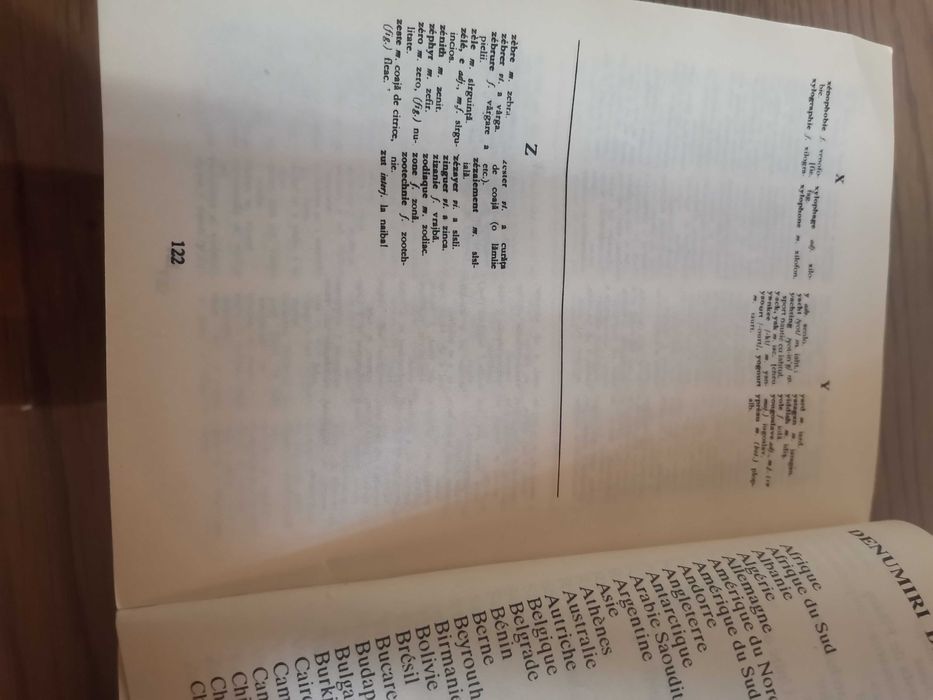 Dictionar Romîn-Francez Francez-Romîn