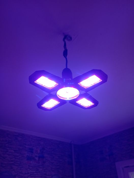 Фитолампа светодиодная полного спектра, свечения
Звонить в будни с