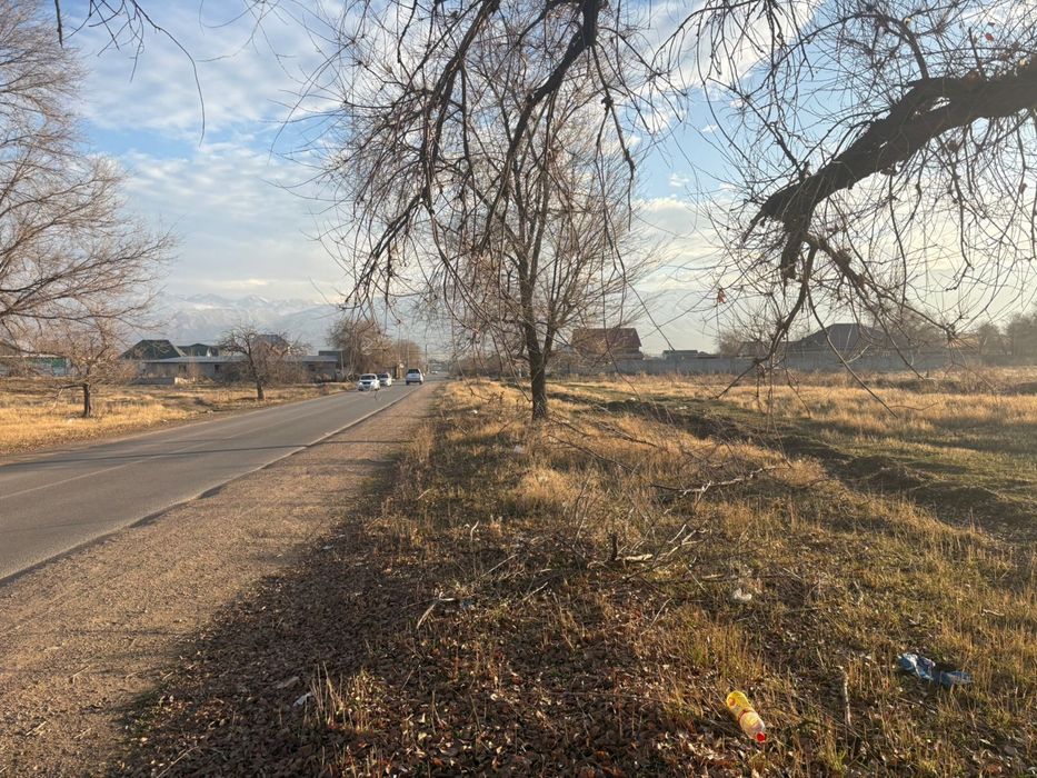 Участок/Шамалган/Жер