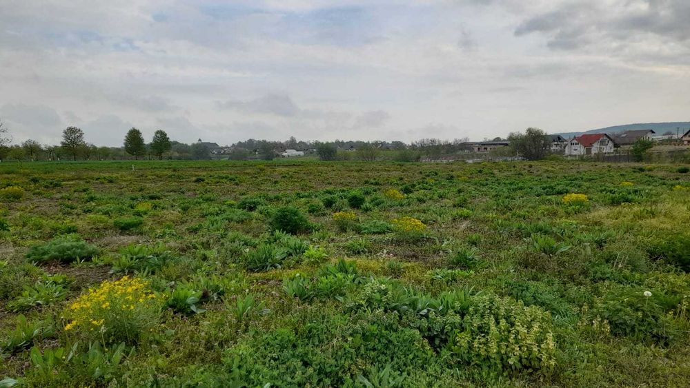 Vanzare teren Mitocu- Dragomirnei