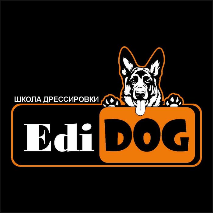 Школа дрессировки. обучение собак. кинолог.  дрессировщик. овчарка.