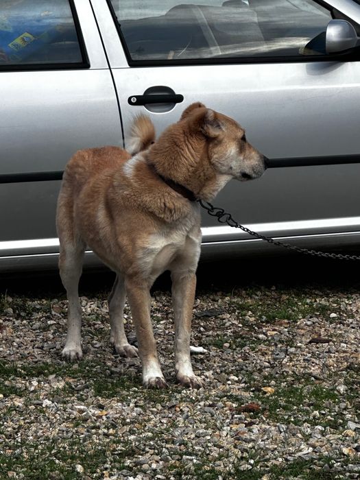 Свободна женска на 11 месеца