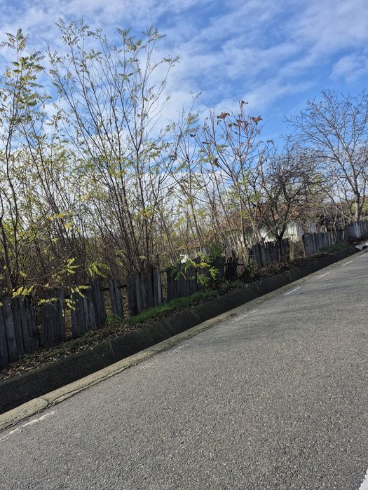 Casa si teren intravilan