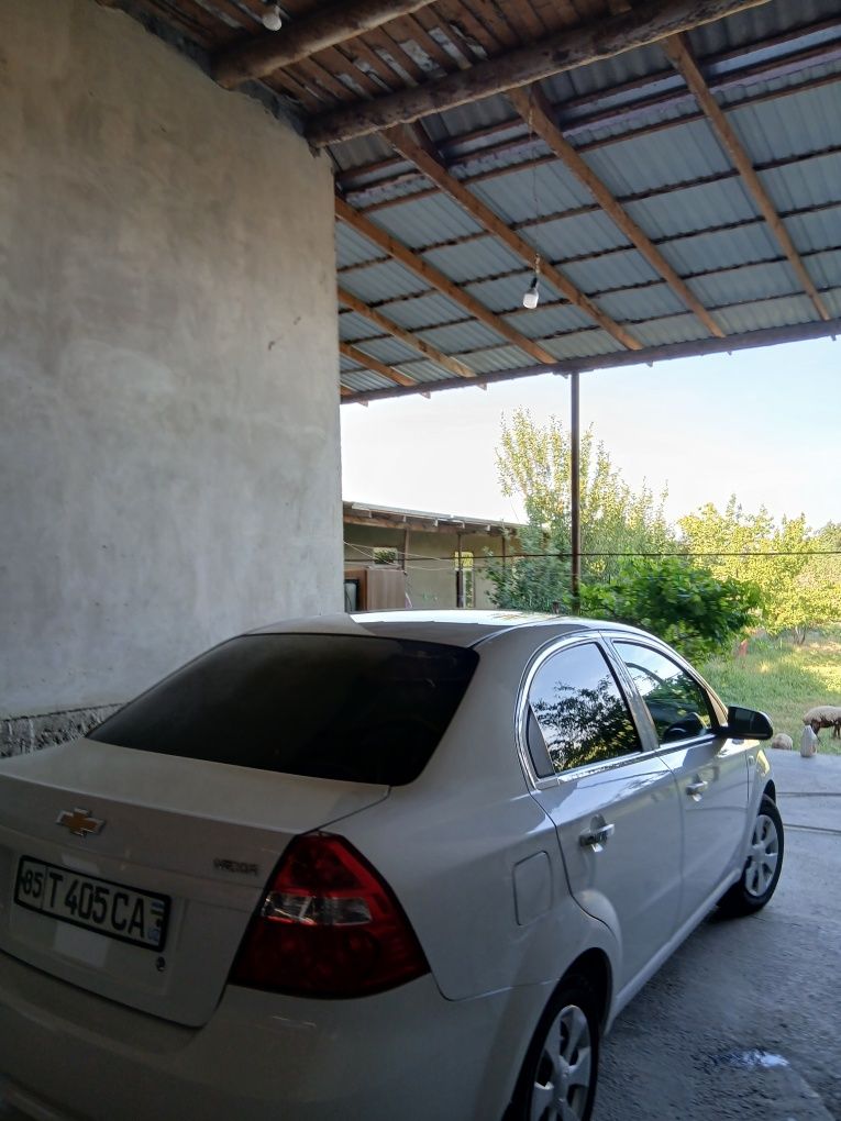 2019yili kraska tozaa