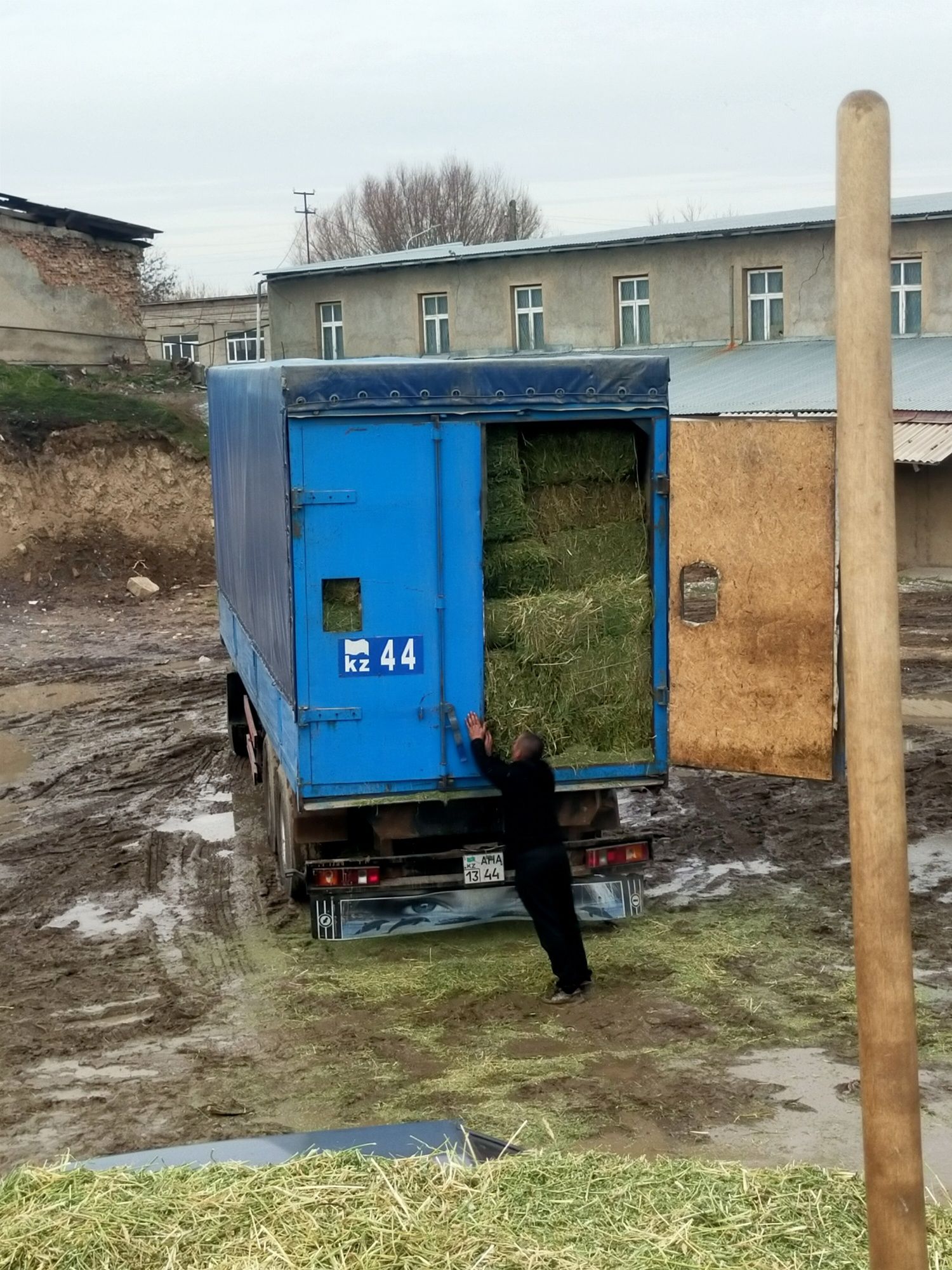 Шоп жонышка тюк дау дау доставка бар