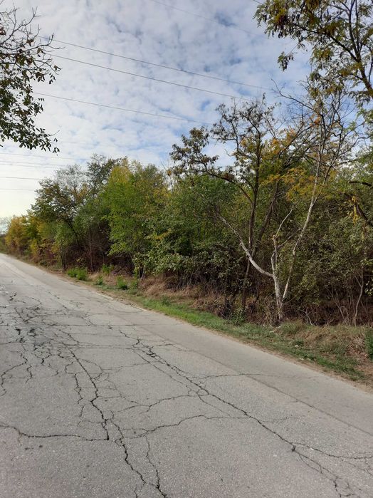 Земеделски имот в град  Плевен