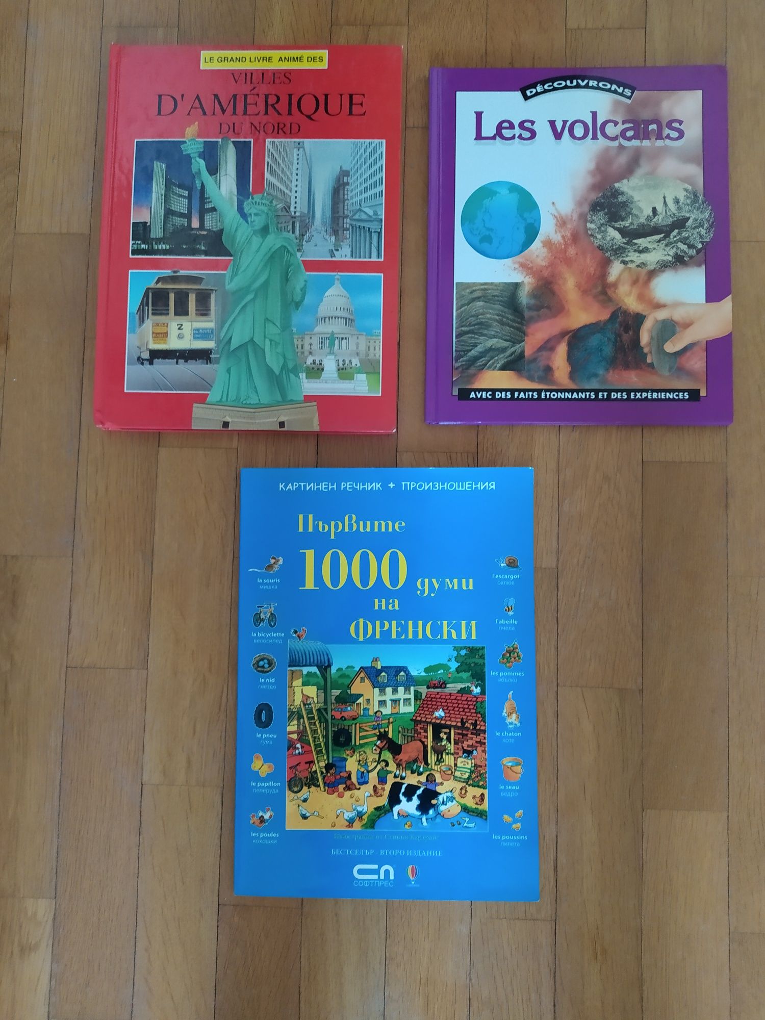 Книги и Речници на френски език